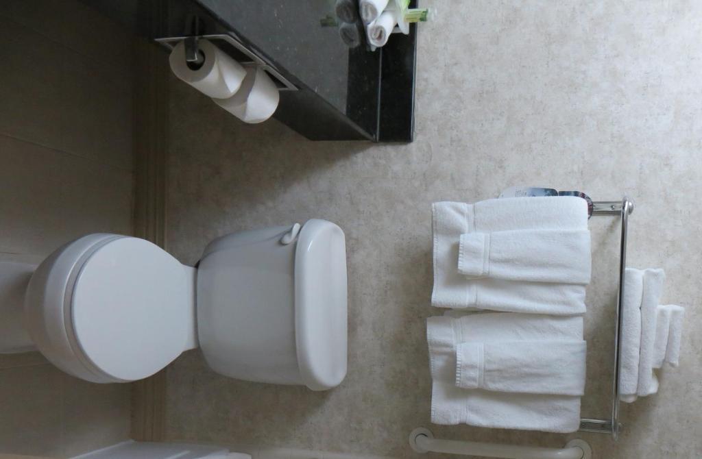 Holiday Inn Express Waycross Bilik gambar